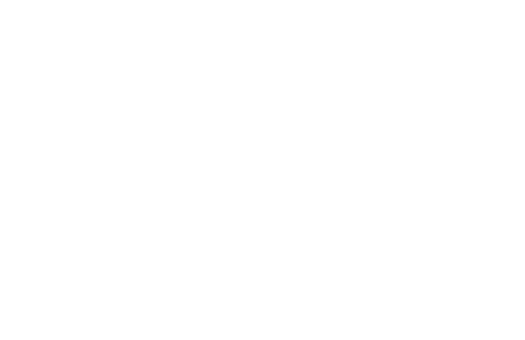 Platinum Solution Partner